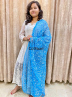 Chikankari Georgette dupatta /kurti piece TD008