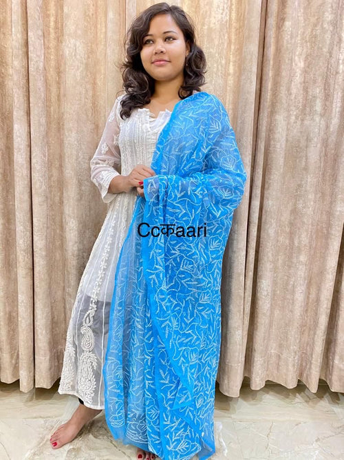 Chikankari Georgette dupatta /kurti piece TD008