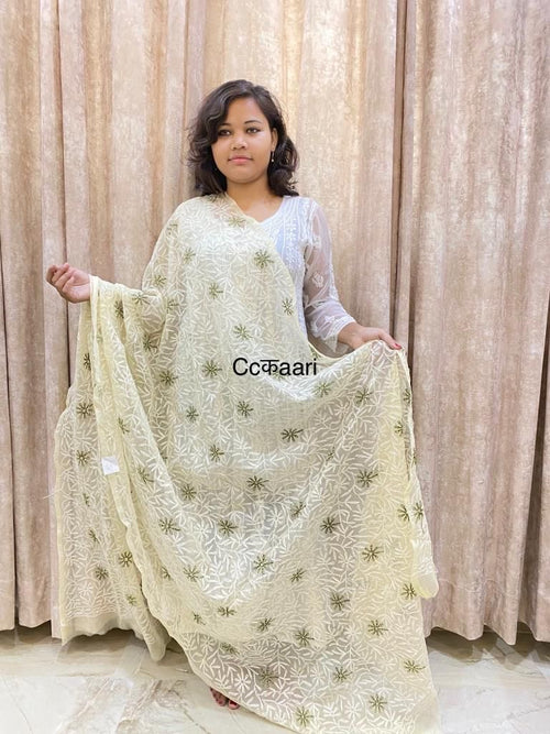 Chikankari Georgette dupatta /kurti piece TD007