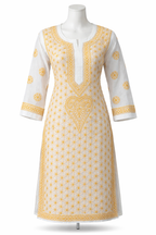 Lucknowi kota doriya kurti || C261