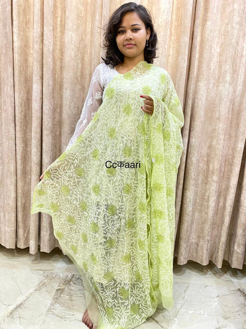 Chikankari Georgette dupatta /kurti piece TD004