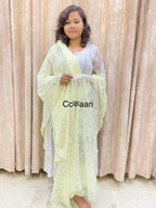 Chikankari Georgette dupatta /kurti piece TD001