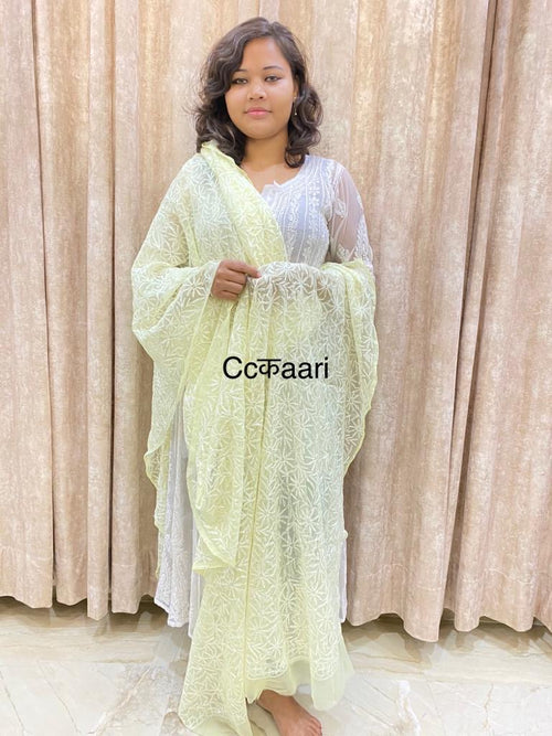 Chikankari Georgette dupatta /kurti piece TD001