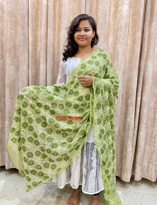 Chikankari Georgette dupatta /kurti piece TD006
