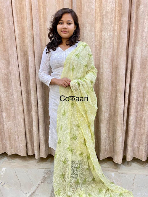 Chikankari Georgette dupatta /kurti piece TD003