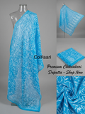 Chikankari Georgette dupatta /kurti piece TD008
