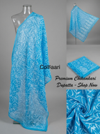 Chikankari Georgette dupatta /kurti piece TD008