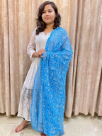 Chikankari Georgette dupatta /kurti piece TD008