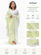 Chikankari Georgette dupatta /kurti piece TD001
